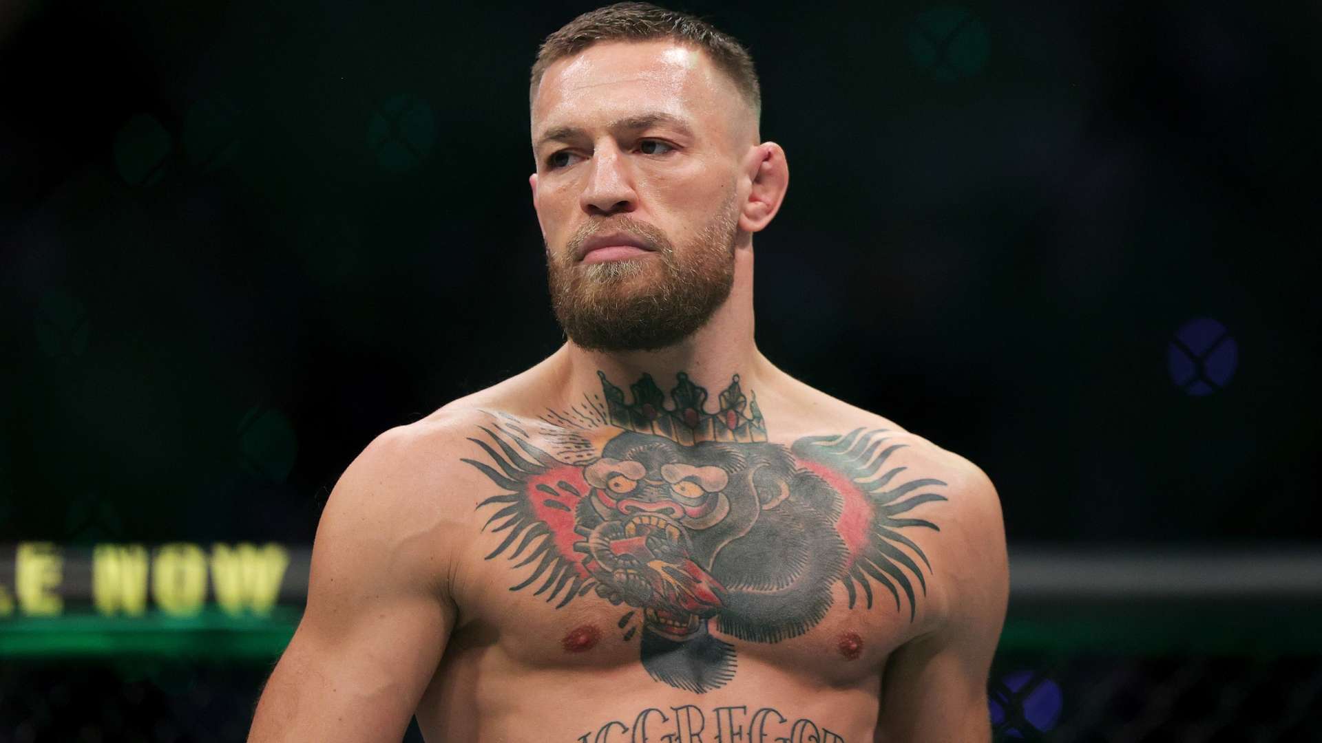 无论是在进 无论是在进