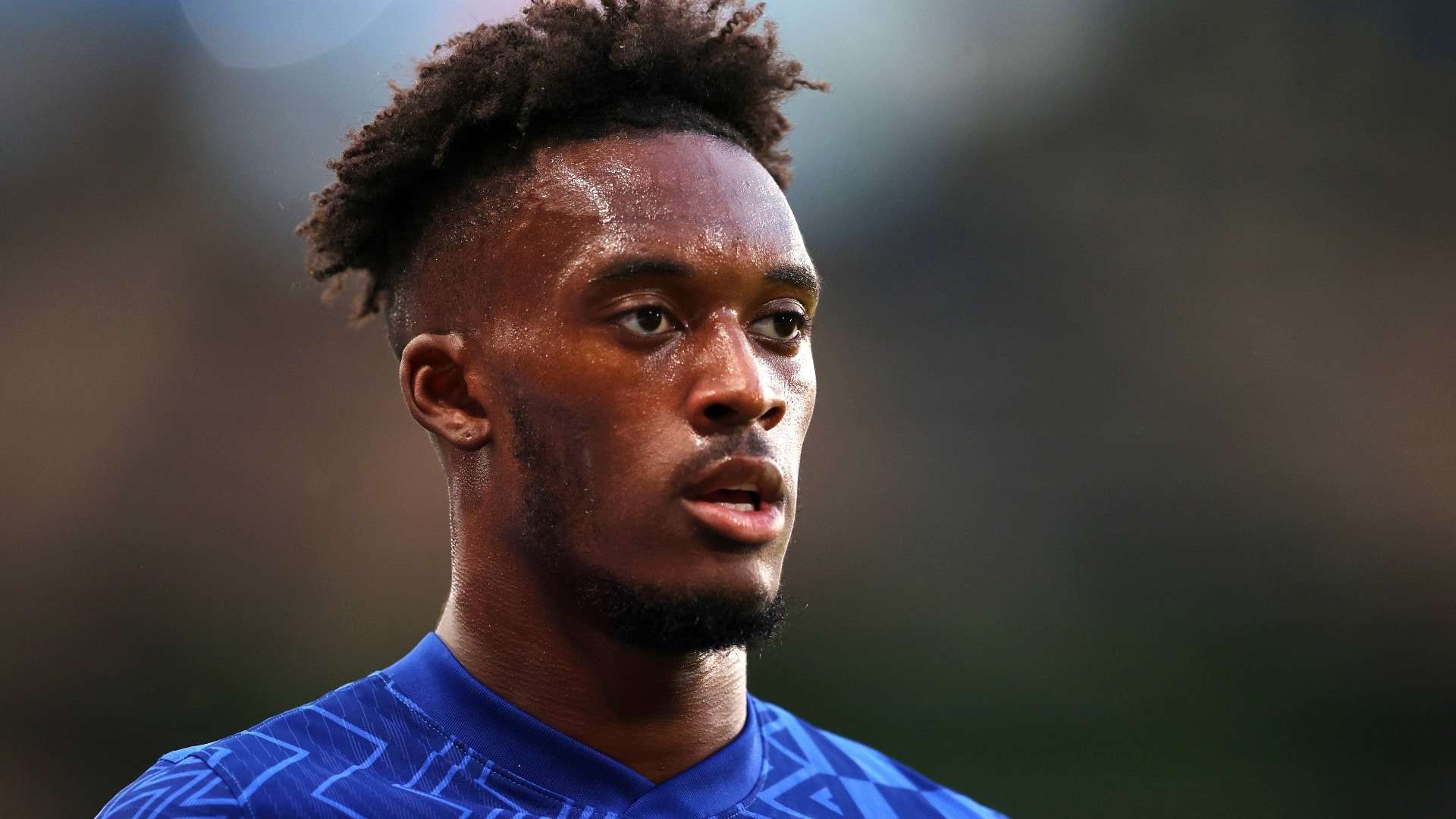 作为公众人 作为公众人